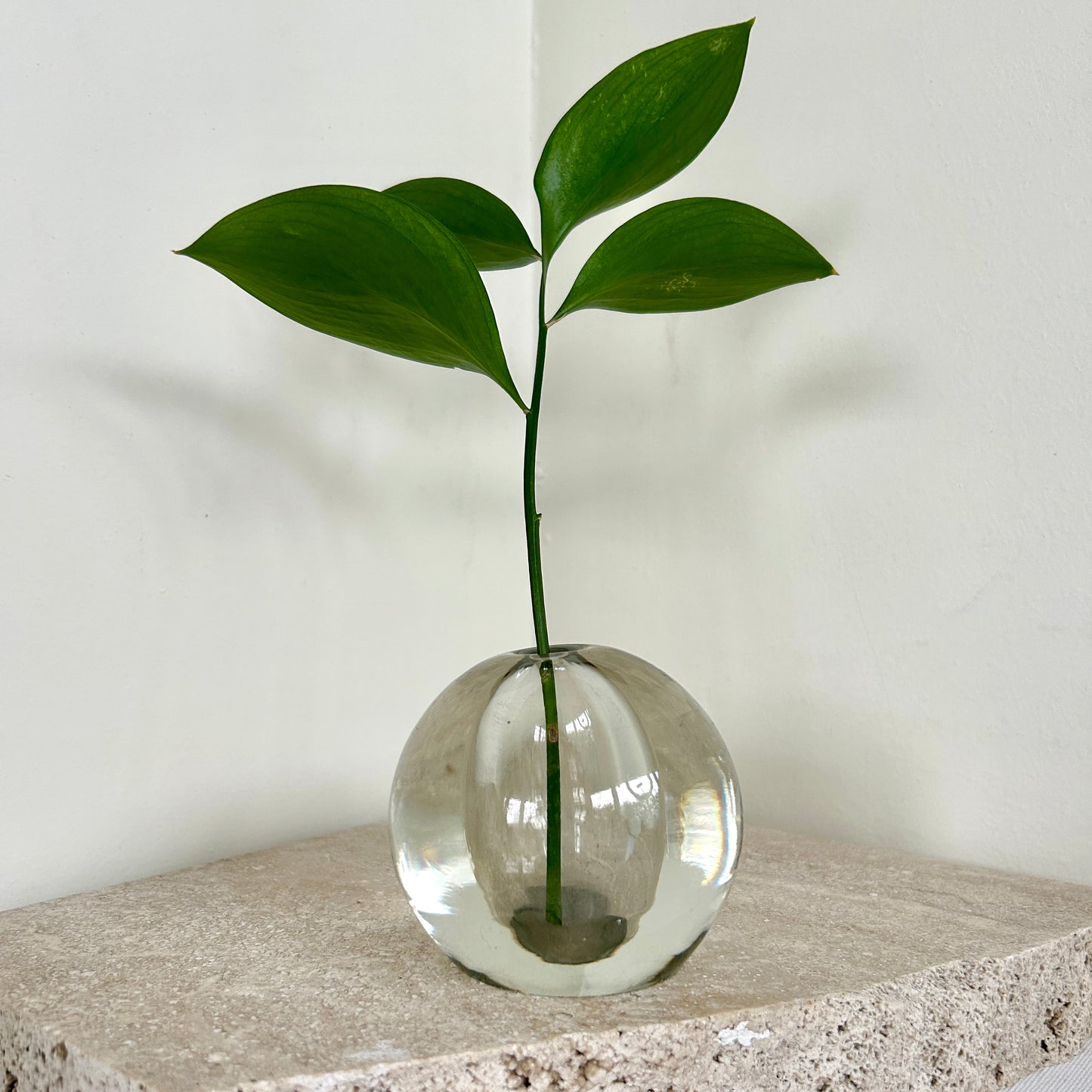 Round glass micro vase