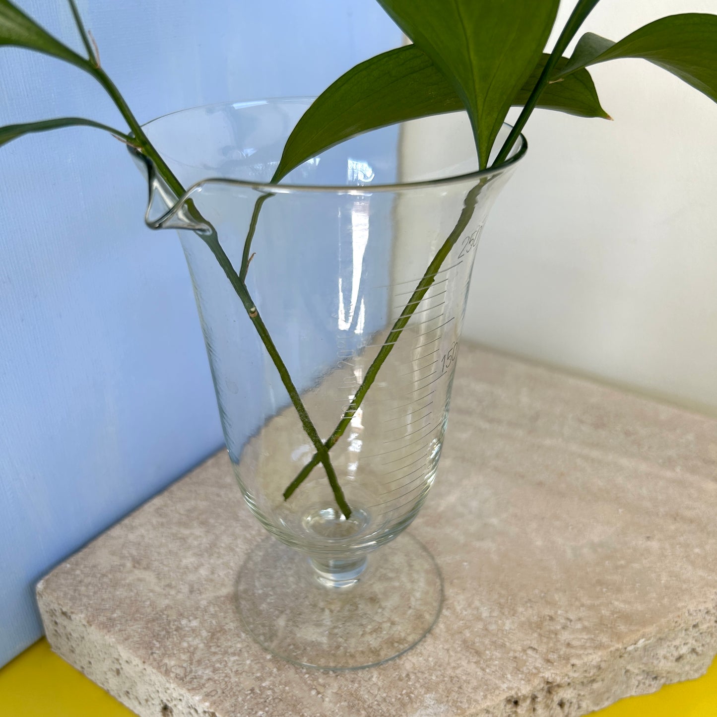 Clear glass measuring cup or vase